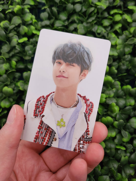 Doyoung Photocards